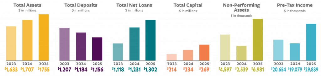 Financials Chart for the year 2025